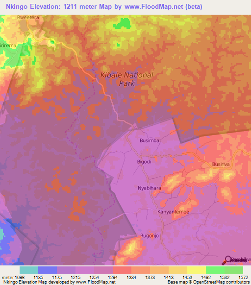 Nkingo,Uganda Elevation Map