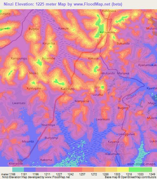 Ninzi,Uganda Elevation Map