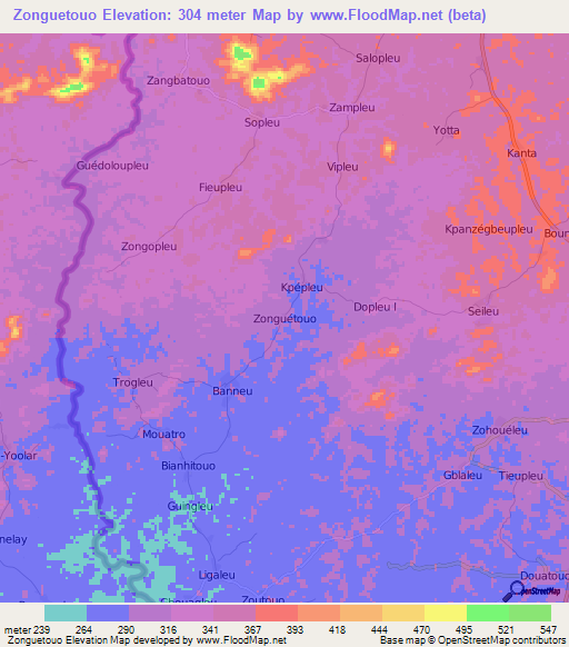 Zonguetouo,Ivory Coast Elevation Map