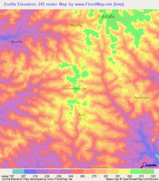 Zonfla,Ivory Coast Elevation Map