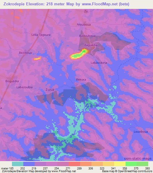 Zokrodepie,Ivory Coast Elevation Map