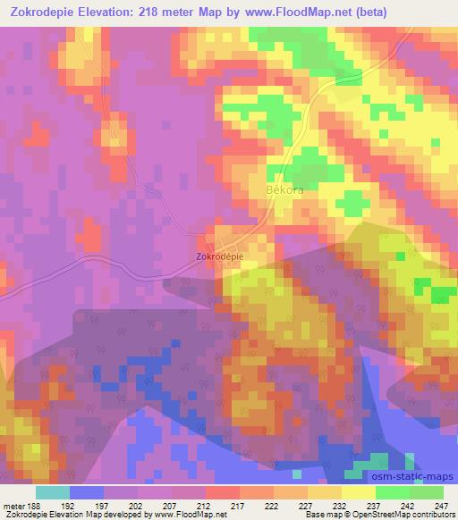 Zokrodepie,Ivory Coast Elevation Map