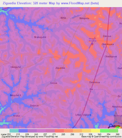 Ziguedia,Ivory Coast Elevation Map