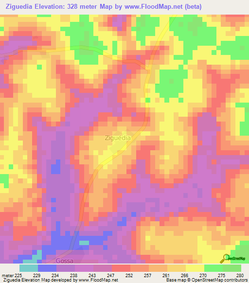 Ziguedia,Ivory Coast Elevation Map