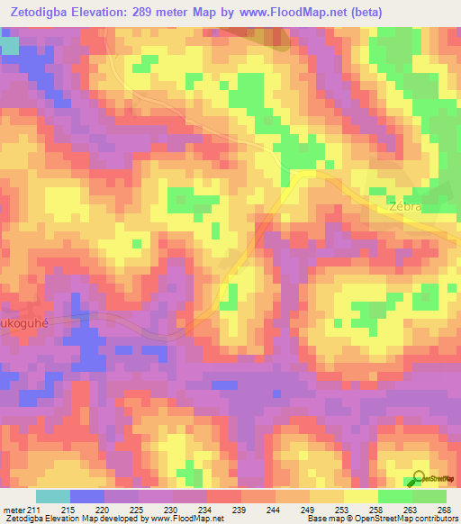 Zetodigba,Ivory Coast Elevation Map