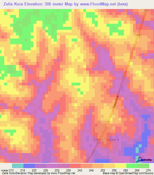 Zelia Kora,Ivory Coast Elevation Map