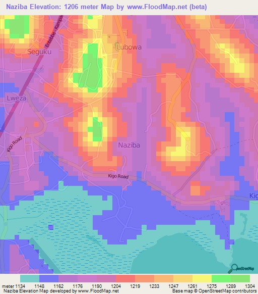 Naziba,Uganda Elevation Map