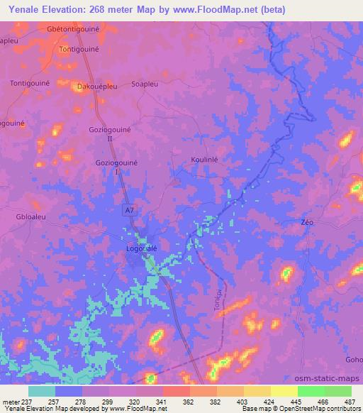 Yenale,Ivory Coast Elevation Map