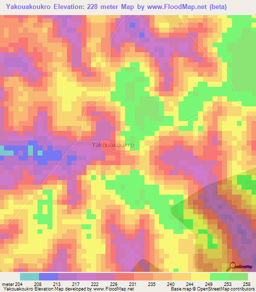 Yakouakoukro,Ivory Coast Elevation Map