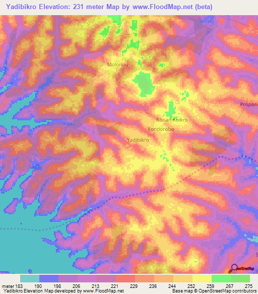 Yadibikro,Ivory Coast Elevation Map
