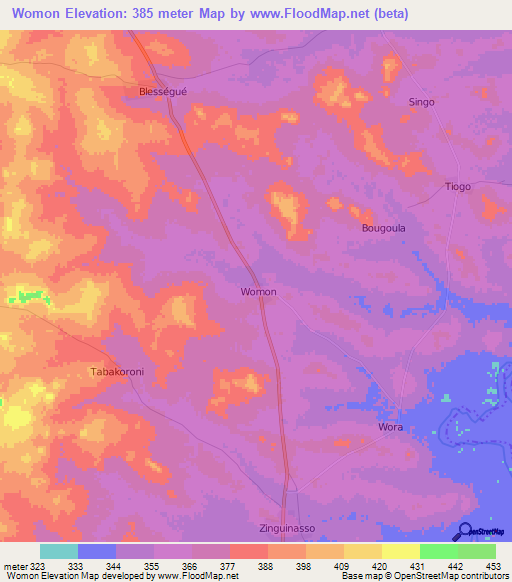 Womon,Ivory Coast Elevation Map