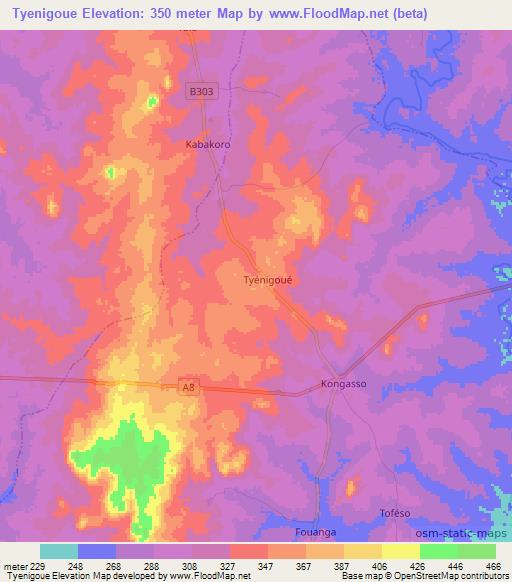 Tyenigoue,Ivory Coast Elevation Map