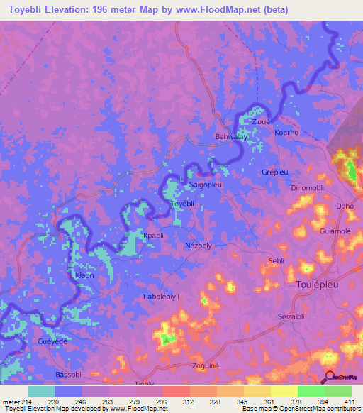 Toyebli,Ivory Coast Elevation Map