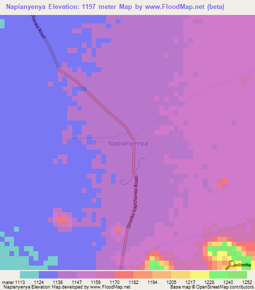 Napianyenya,Uganda Elevation Map