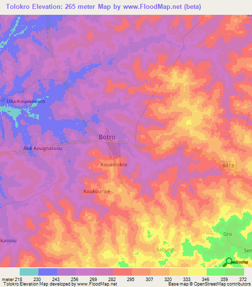 Tolokro,Ivory Coast Elevation Map