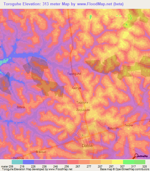 Toroguhe,Ivory Coast Elevation Map