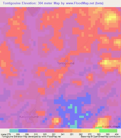 Tontigouine,Ivory Coast Elevation Map