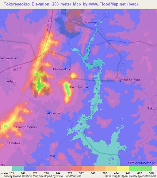Tokoreyaokro,Ivory Coast Elevation Map