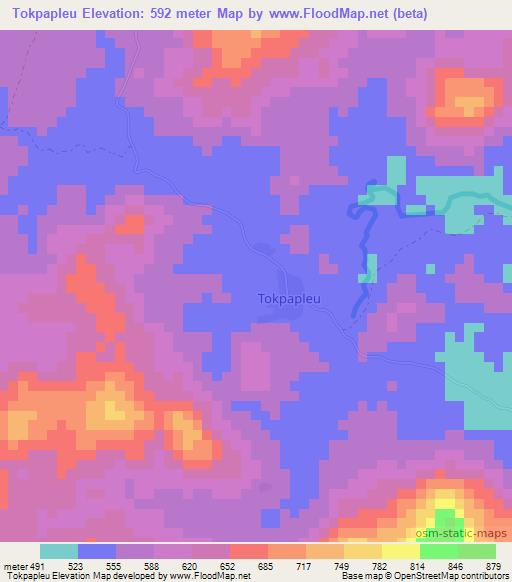 Tokpapleu,Ivory Coast Elevation Map