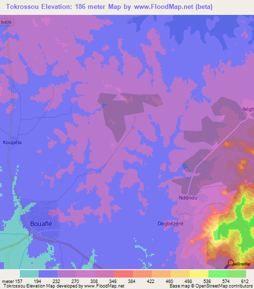 Tokrossou,Ivory Coast Elevation Map