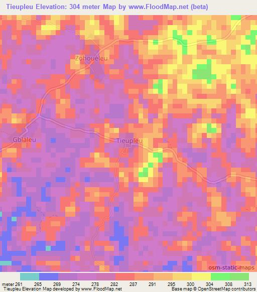 Tieupleu,Ivory Coast Elevation Map