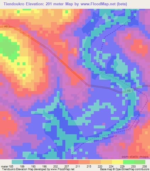 Tiendoukro,Ivory Coast Elevation Map