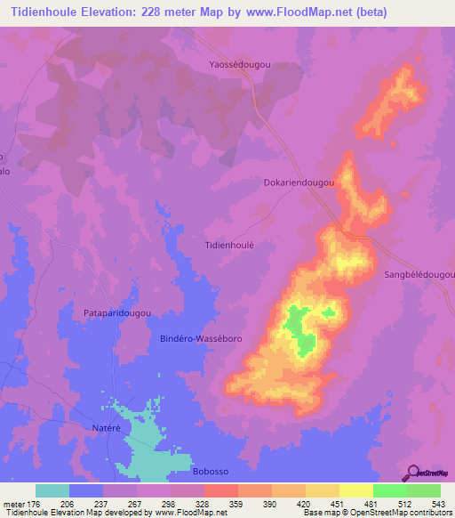 Tidienhoule,Ivory Coast Elevation Map