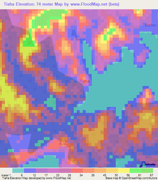 Tiaha,Ivory Coast Elevation Map