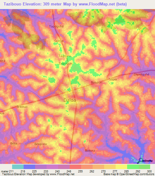 Tazibouo,Ivory Coast Elevation Map