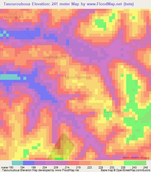 Tasourouboua,Ivory Coast Elevation Map