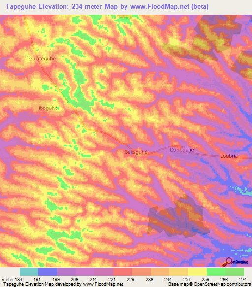 Tapeguhe,Ivory Coast Elevation Map