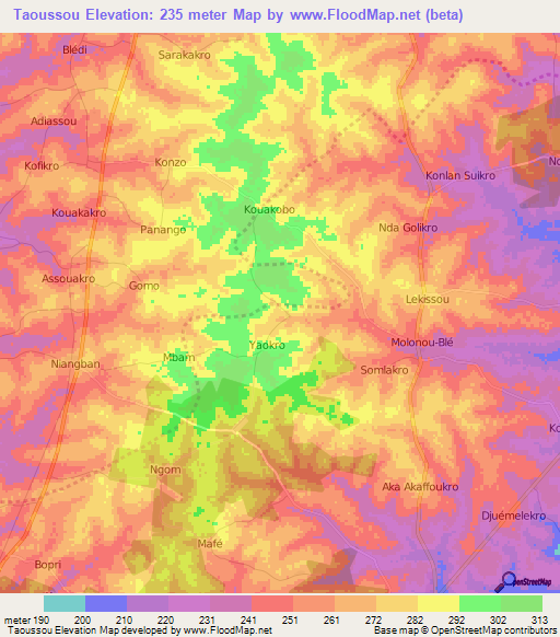 Taoussou,Ivory Coast Elevation Map