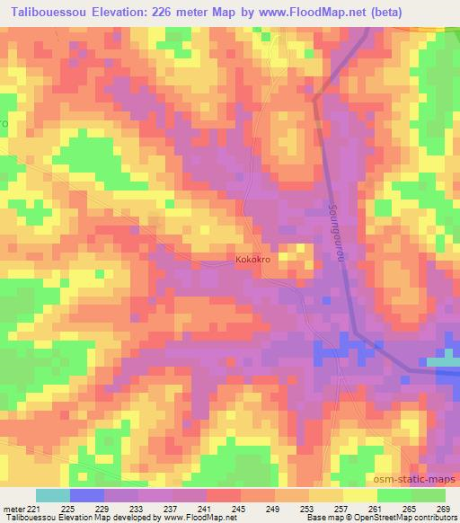 Talibouessou,Ivory Coast Elevation Map