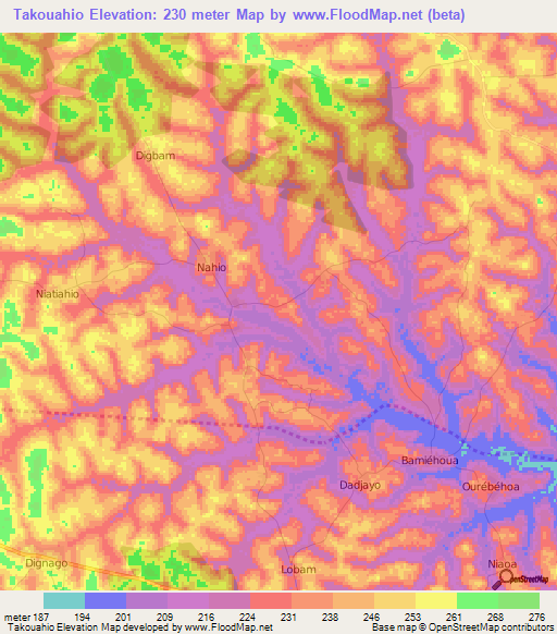 Takouahio,Ivory Coast Elevation Map