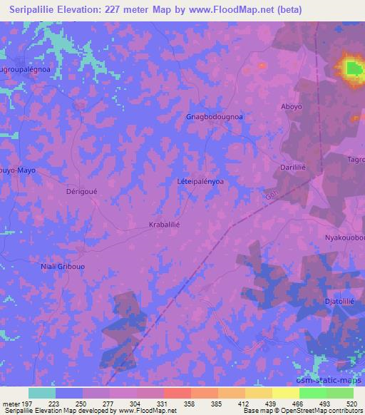 Seripalilie,Ivory Coast Elevation Map
