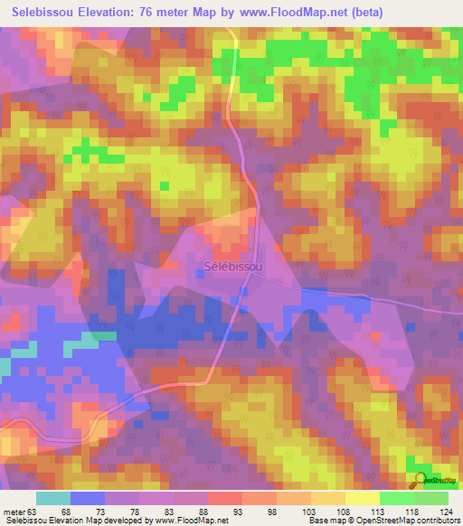Selebissou,Ivory Coast Elevation Map