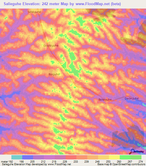 Salieguhe,Ivory Coast Elevation Map