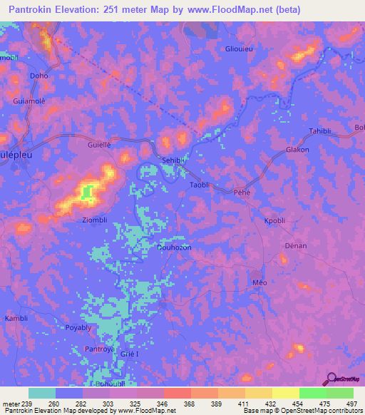 Pantrokin,Ivory Coast Elevation Map