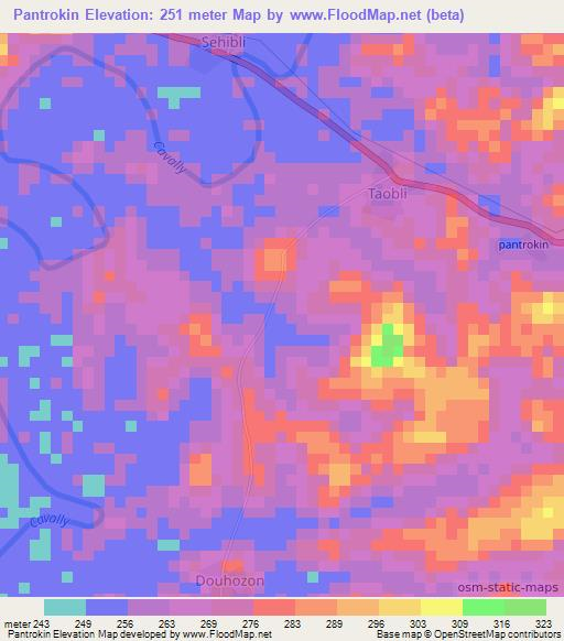 Pantrokin,Ivory Coast Elevation Map
