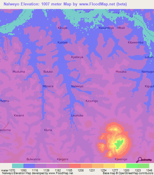 Nalweyo,Uganda Elevation Map