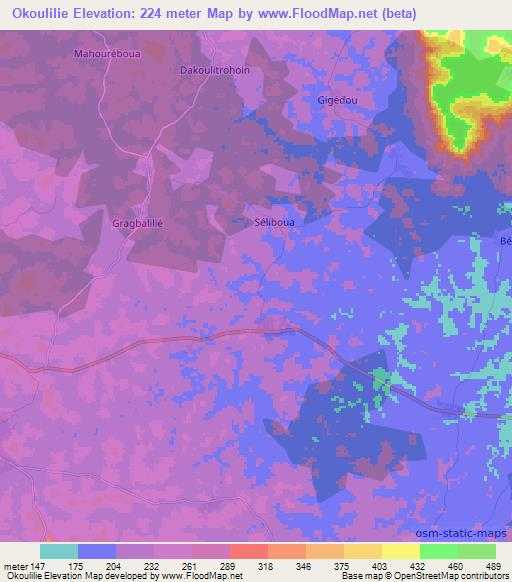 Okoulilie,Ivory Coast Elevation Map