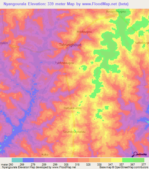 Nyangourala,Ivory Coast Elevation Map