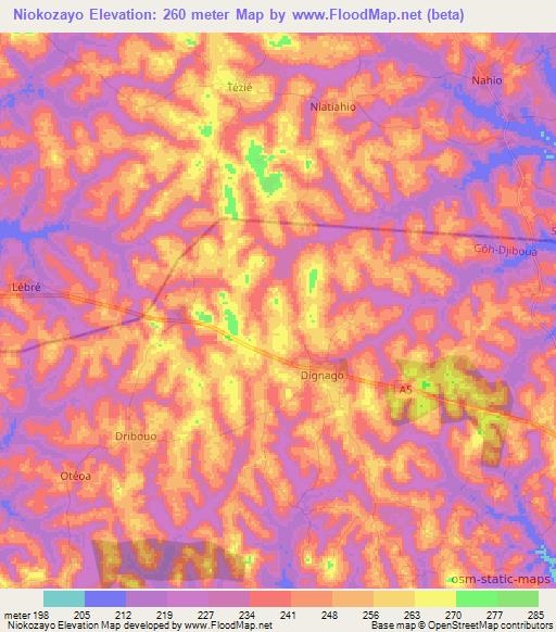 Niokozayo,Ivory Coast Elevation Map