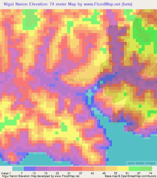 Nigui Nanon,Ivory Coast Elevation Map