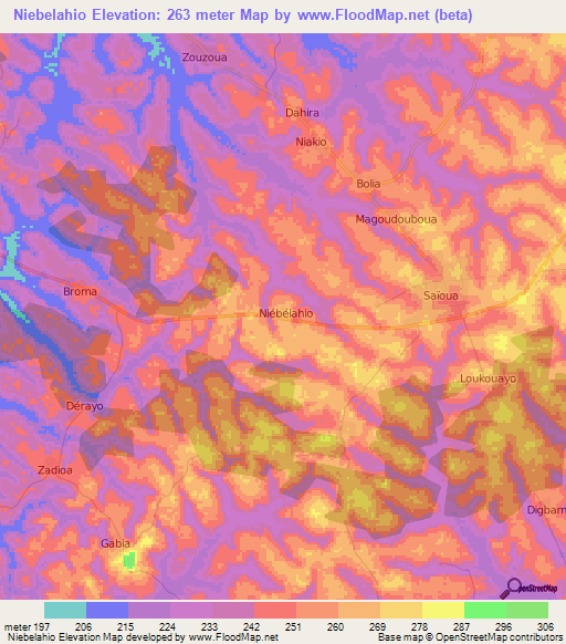 Niebelahio,Ivory Coast Elevation Map