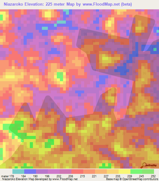 Niazaroko,Ivory Coast Elevation Map