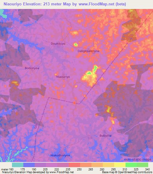 Niaouriyo,Ivory Coast Elevation Map