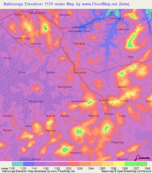 Nakisunga,Uganda Elevation Map