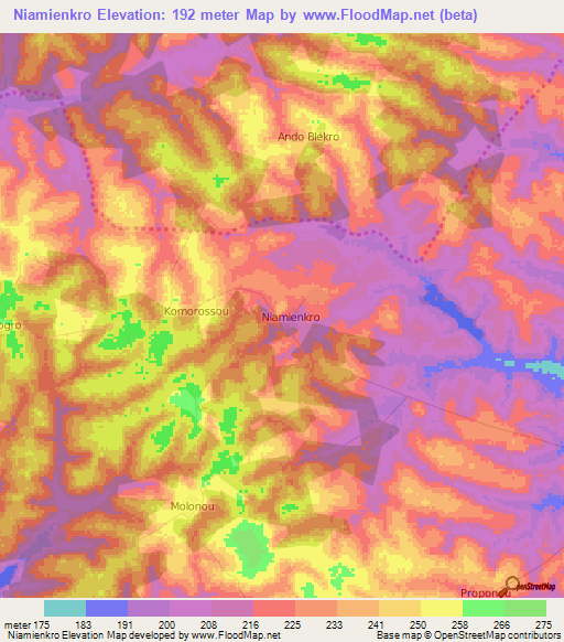 Niamienkro,Ivory Coast Elevation Map
