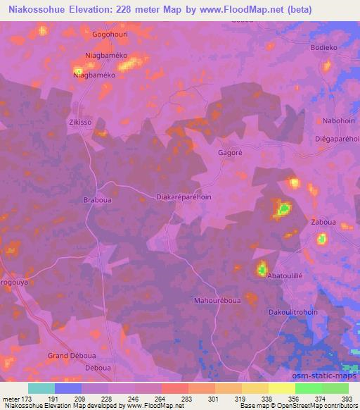 Niakossohue,Ivory Coast Elevation Map